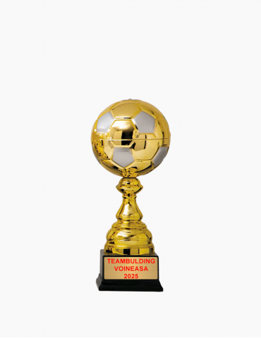Trofeu Fotbal AK5150-1 31 cm